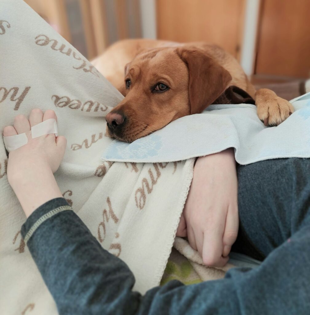 Hund mit PatientIn in der tiergestützten Therapie